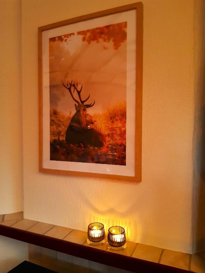 פוטן Genieten Op De Veluwe Van Rust En Natuur מראה חיצוני תמונה